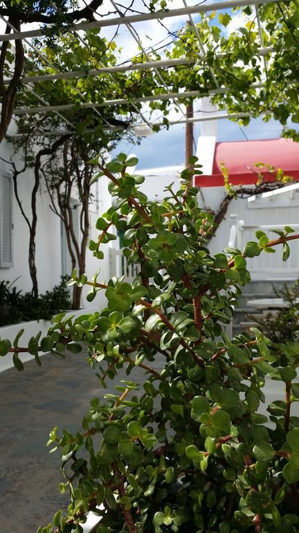 Christina Studios Mykonos Town Buitenkant foto